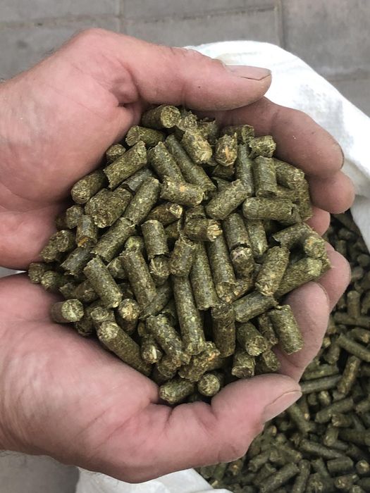 Сіно люцерні гранульоване