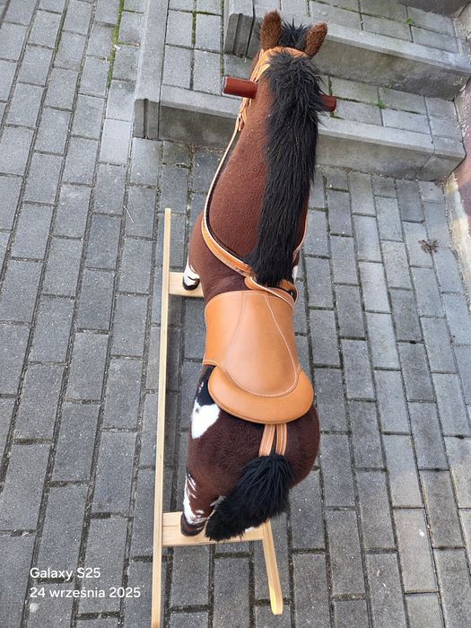 Konik na biegunach