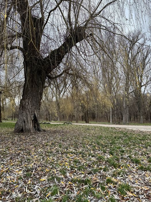 Продам 1 кім. на вул. Кременчуцькій