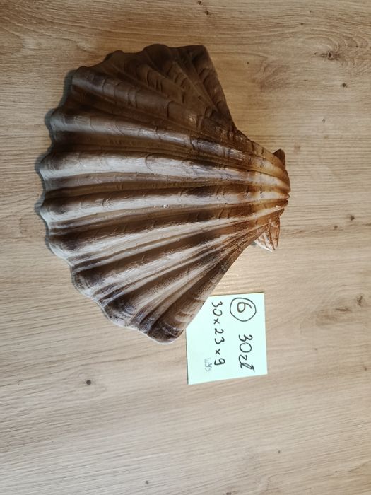 Ozdoby akwariowe korzenie muszla aranżacja akwarium