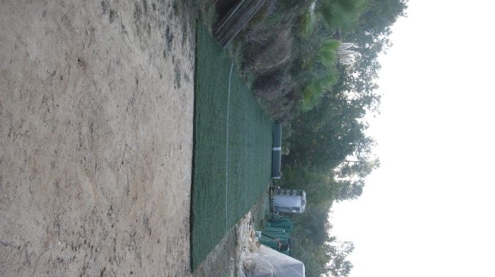 Relava/Erva artificial sintética como novo que parece real 1ªqualidade