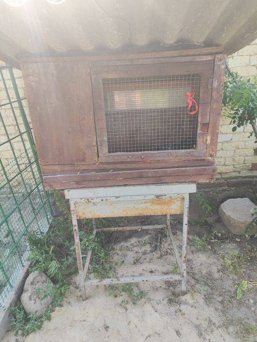 Klatka dla królika