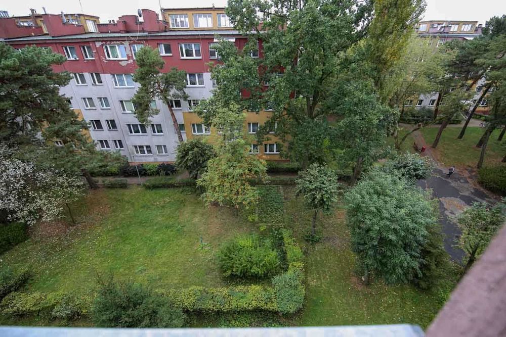 Zdjęcie 6