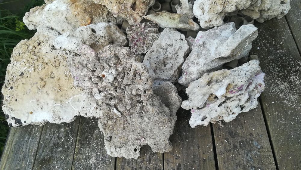 Skała koralowa do morskiego akwarium