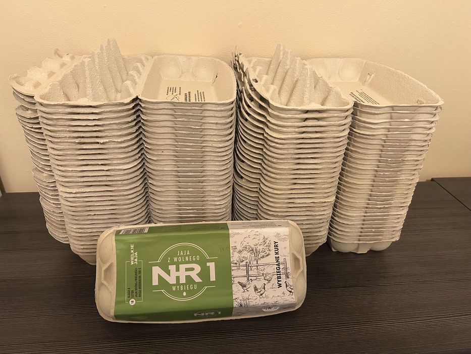 Wytłaczanki opakowanie po jajkach 10 jaj - 60 sztuk