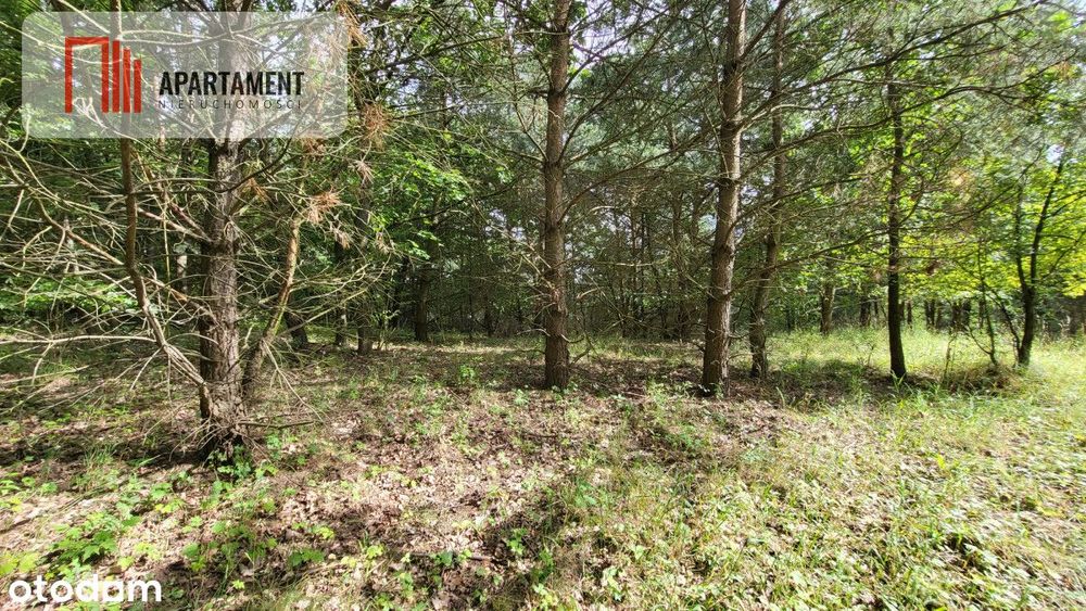 2118mkw z WZ - Wyrzysk Skarbowy