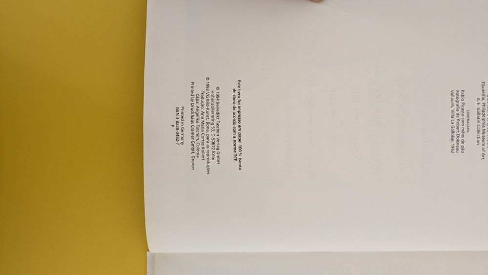 Livro sobre Picasso