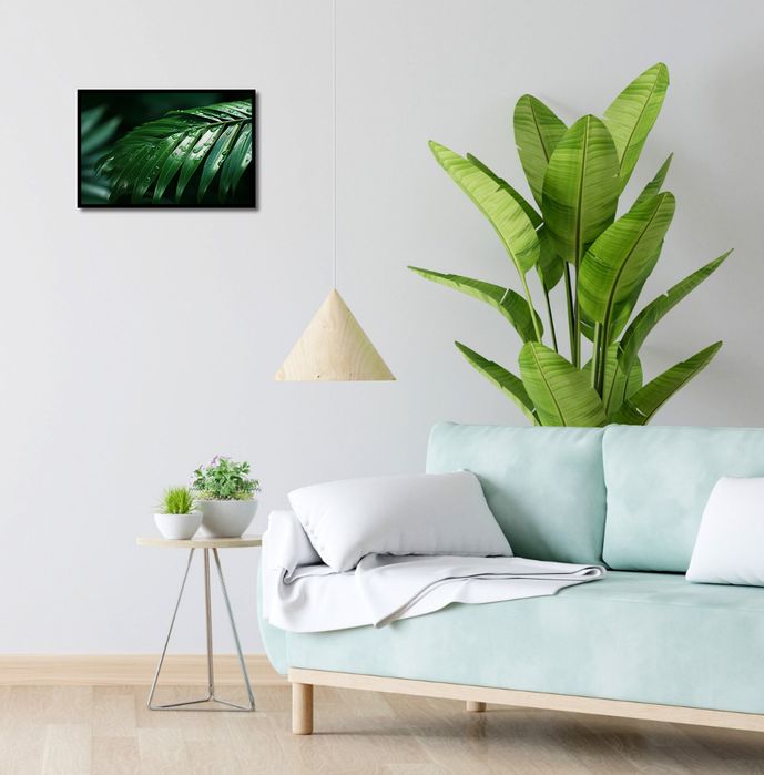 Plakat 45x30cm Żywa Łagodność