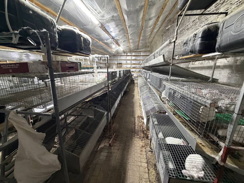 Продається обладнання (клітки і їх комплектуючі) для розведення кроля