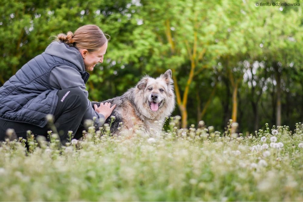 Ramona-starsza cudowna towarzyska suczka do pilnej adopcji