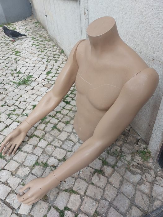 Busto manequim de homem

Em bom estado.

A levantar em Lisboa, Graça.