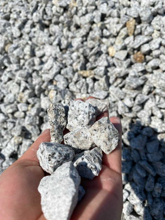 grys granitowy DALMATYŃCZYK kamień ozdobny ogrodowy żwir kruszywa