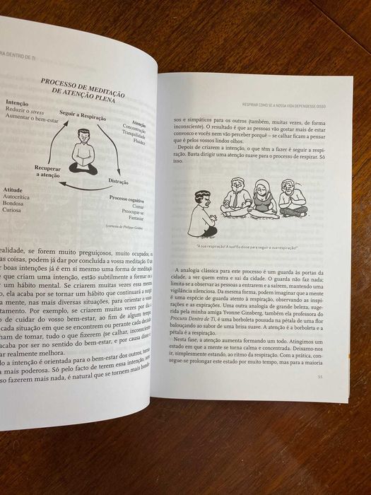 Procura Dentro de Ti - Chade-Meng Tan