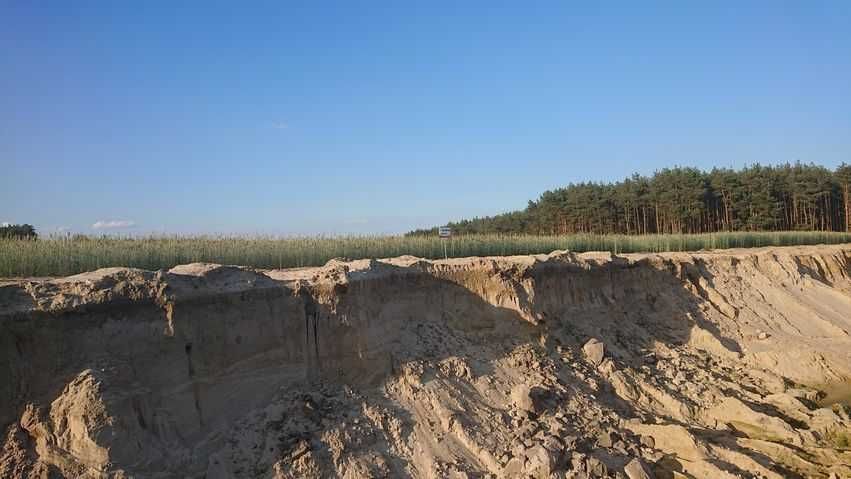 Żyto ozime Dańkowskie SKAND