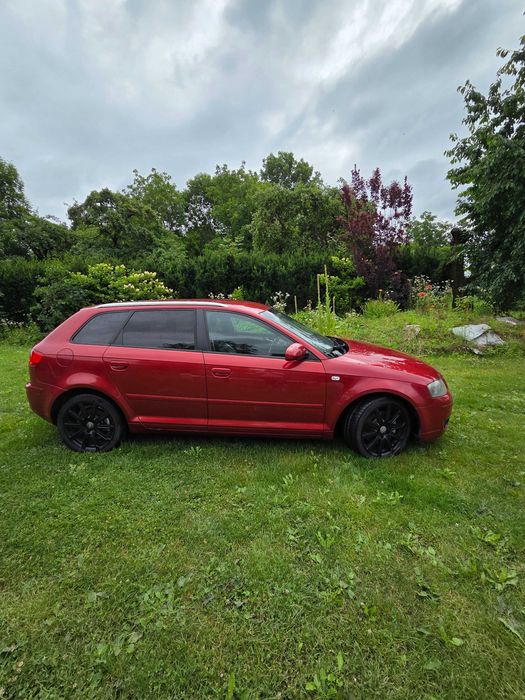 Audi A3 8P Quattro