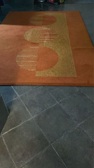 Carpete de sala como nova