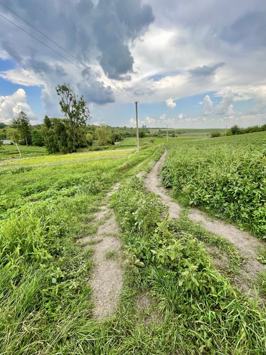 !!! Продам будинок з ВЕЛИКОЮ земельною ділянкою !!!