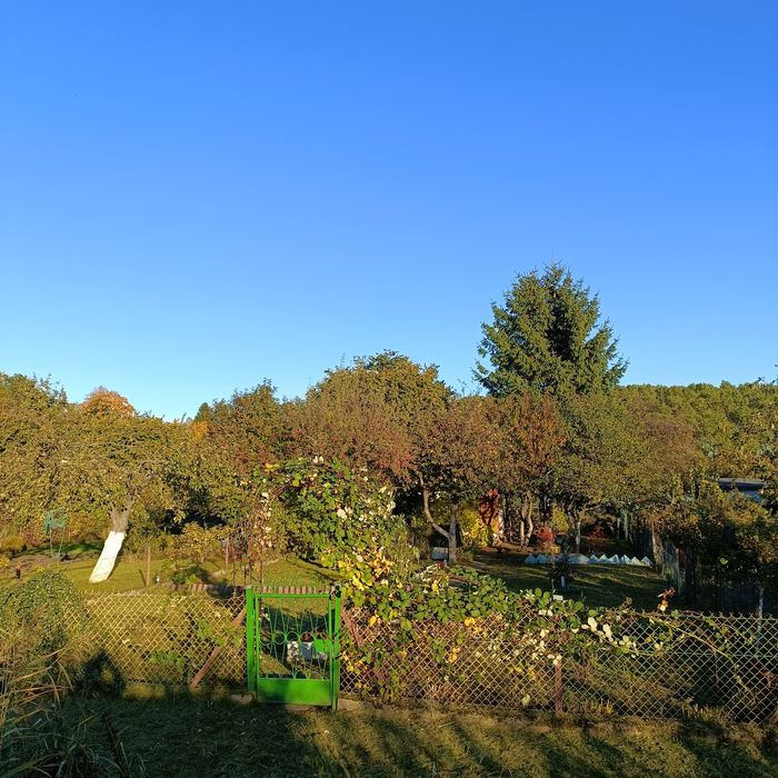 Działka rekreacyjna