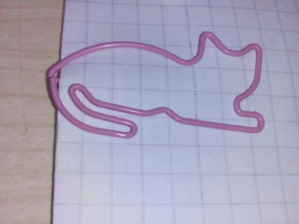 Gatos: 5 Clipes Gigantes.