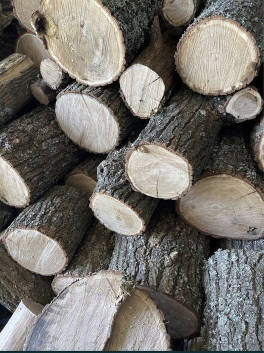 Продам сухие дрова ДУБА!!!