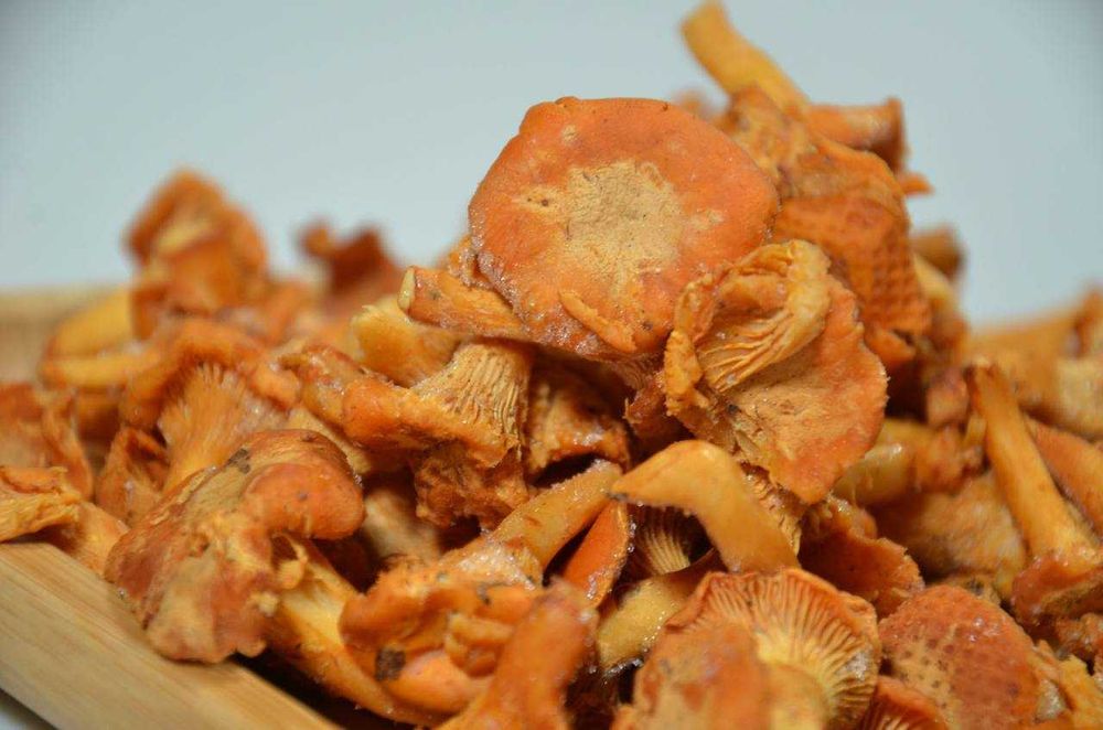 Свіжі Гриби Лисички  преміум у шоковій заморозці | ВЕЛИКІ ОБСЯГИ