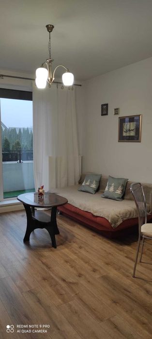 Wynajmę mieszkanie, Ślesin