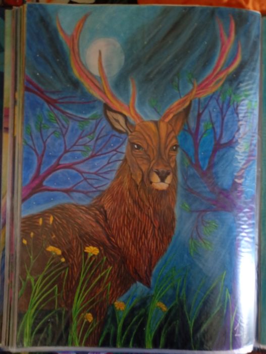 Desenhos a lápis de cor A2   40/60 cm