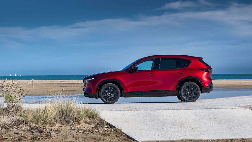 Zdjęcie w galerii numer 5