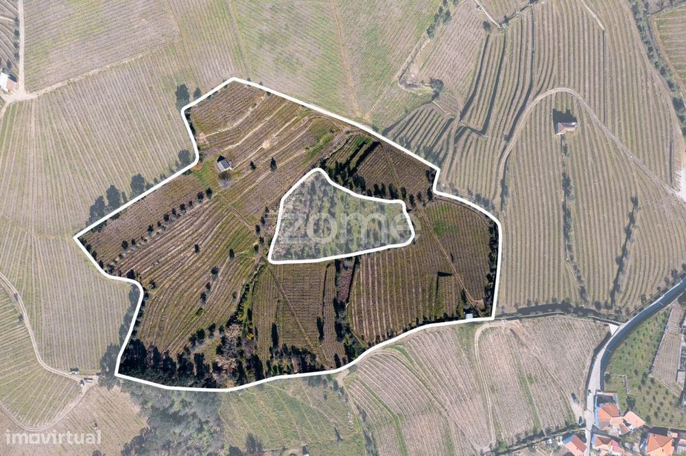 Quinta na Régua para produção vinícola