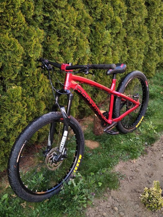 Dartmoor Hornet 2020