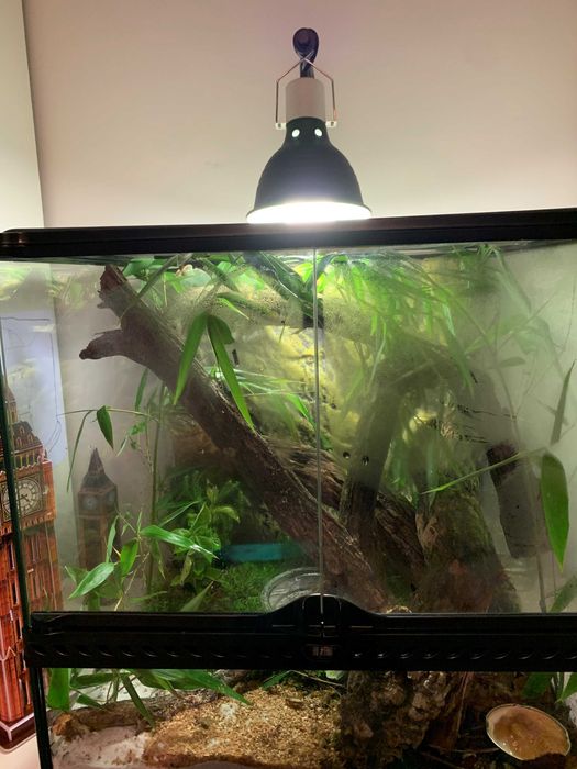 Terrário Exo Terra 45x45x45– Completo com Acessórios