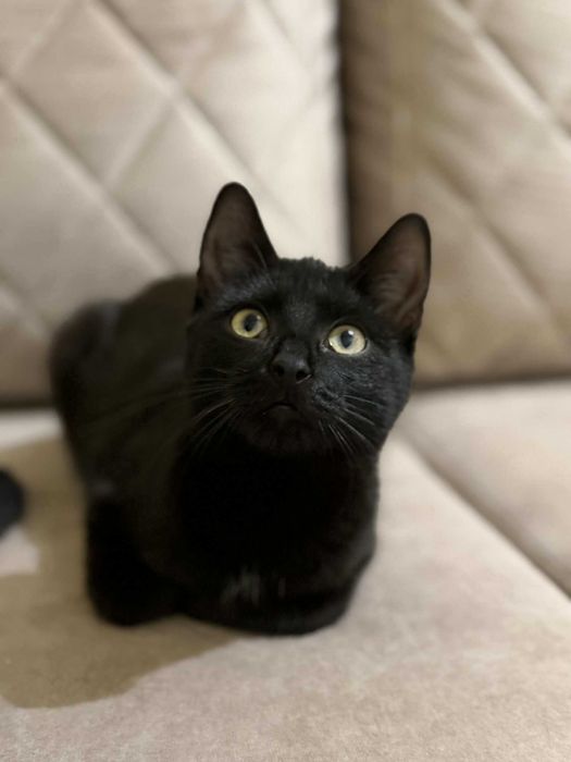 Walduś i Mariola szukają domu