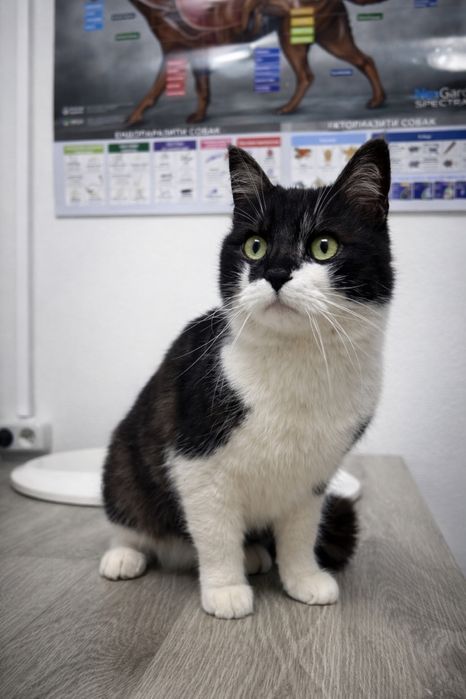 Матвей ищет семью