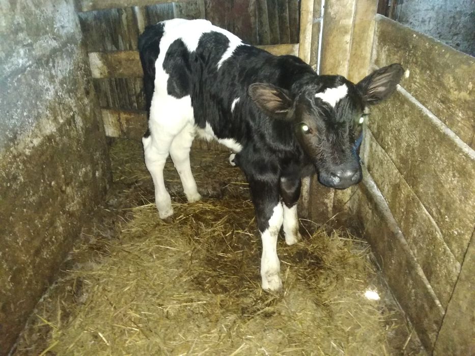 Приглашаем желающих пожить в экопоселении