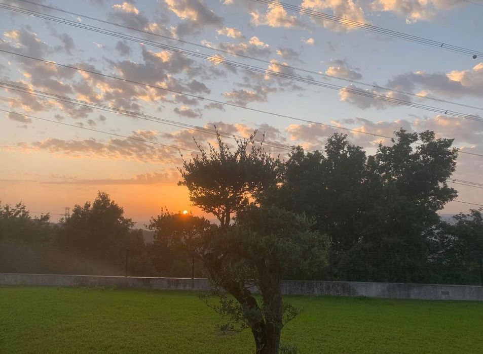 Moradia Terrea T3 para venda