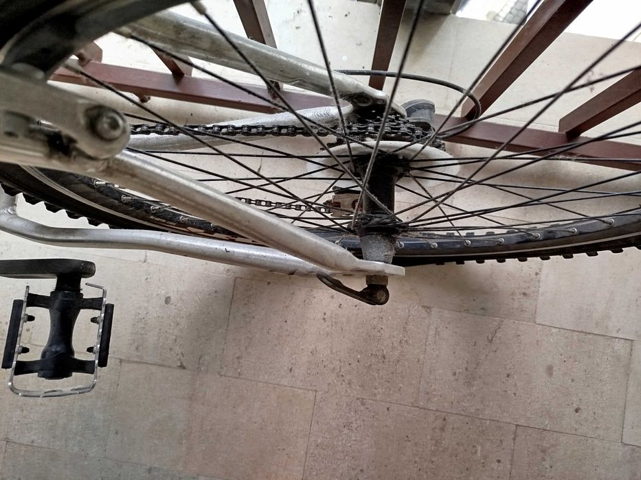 Bicicleta de montanha