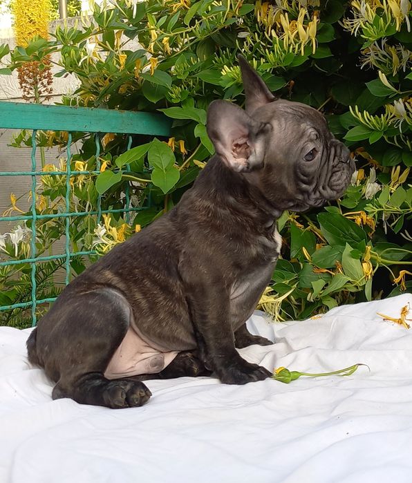 Мальчишка ждет семью