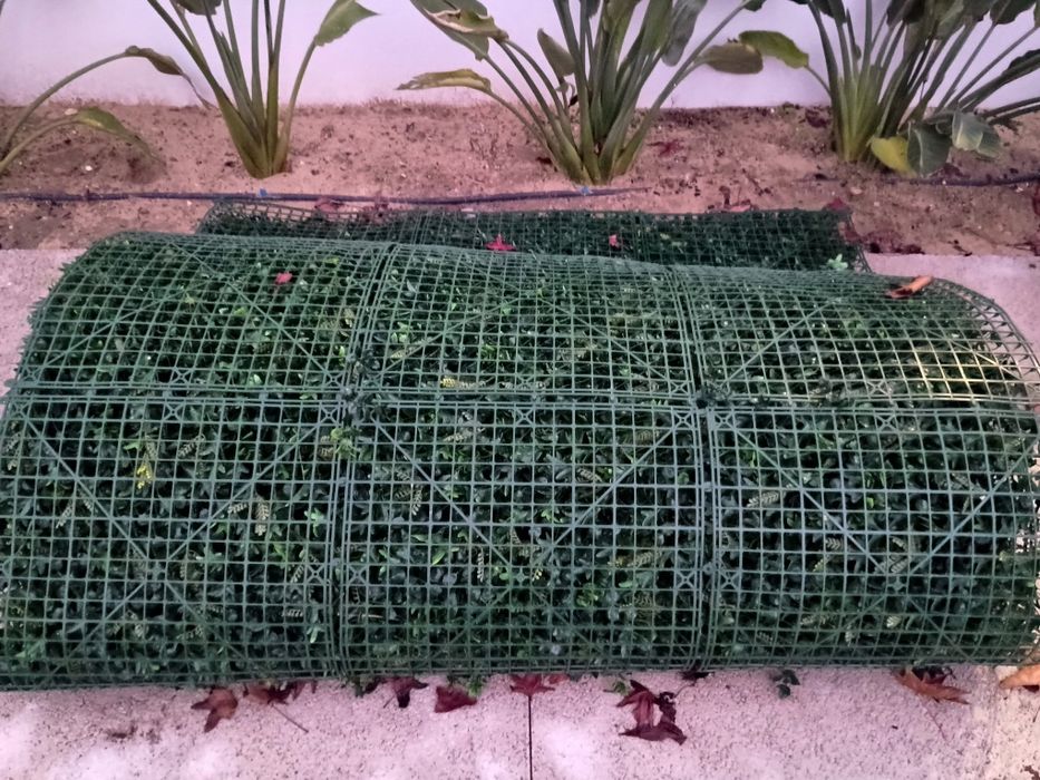 Naterial Jardim vertical 1x1 m Forest Countryside (6 packs)