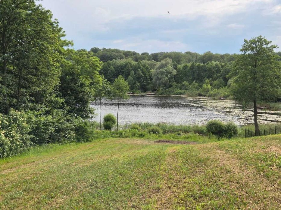 Działka nad Jeziorem Łączonek z linią brzegową w powiecie rypińskim - View 3