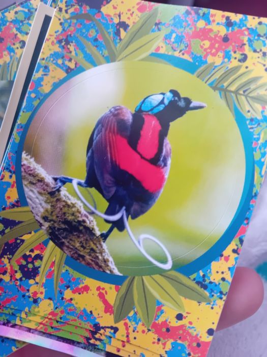 Cromos Mundo Animal Troca ou Venda