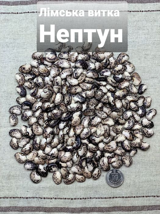 Квасоля Лімська насіння