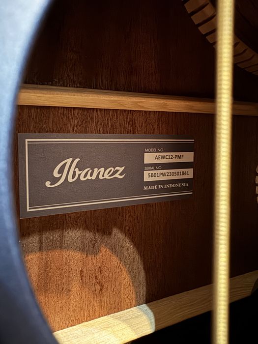 Piekna Gitara Elektroakustyczna Ibanez AEWC12-PMF