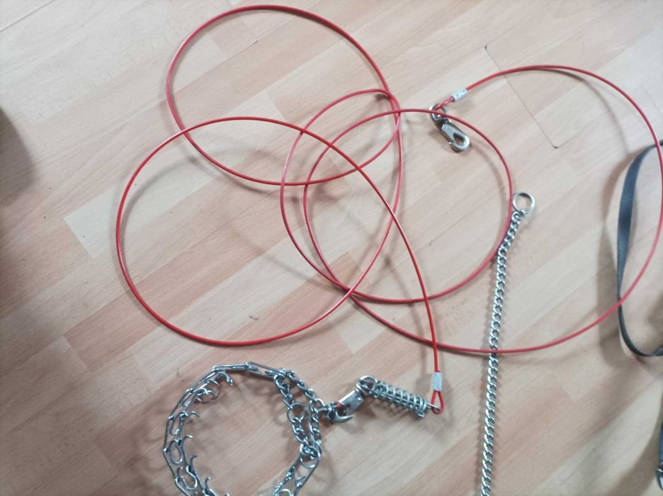 Ошейник,поводок,цепь.