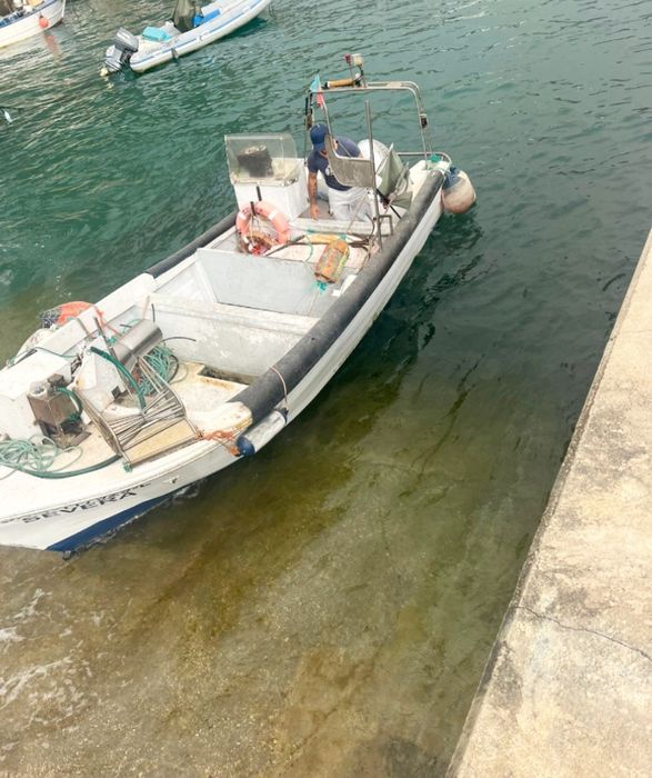 Barco de pesca profissional