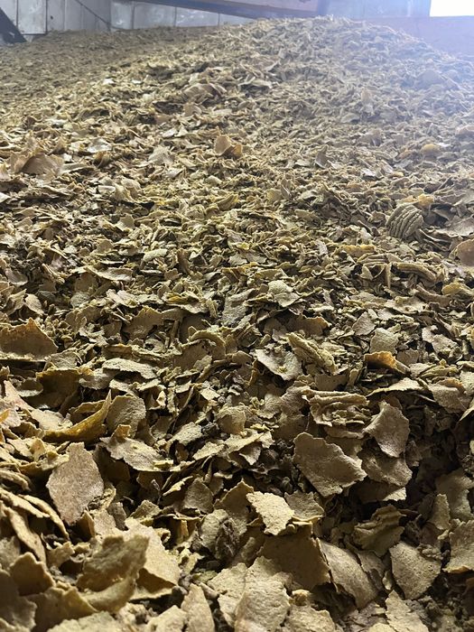 Макуха соєва /шрот соєвий