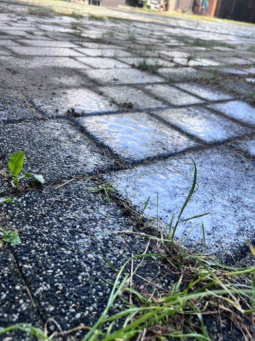 Profesjonalne Mycie Ciśnieniowe kostka,Elewacja,Dach 100 °C