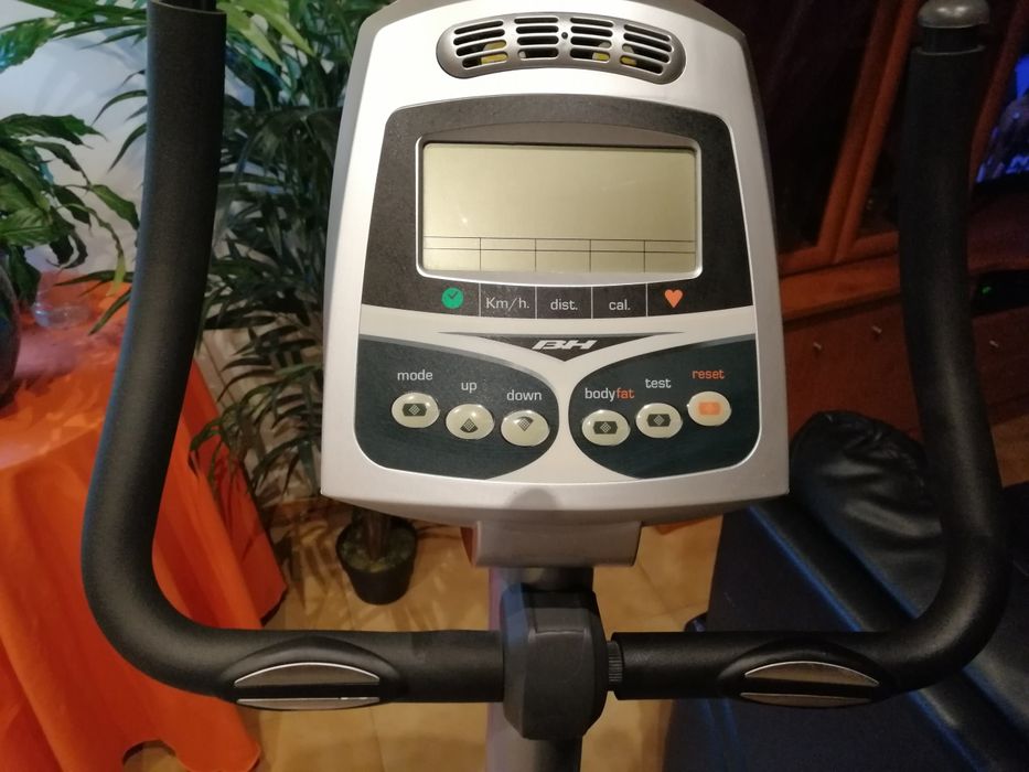 Bicicleta bh pegasus