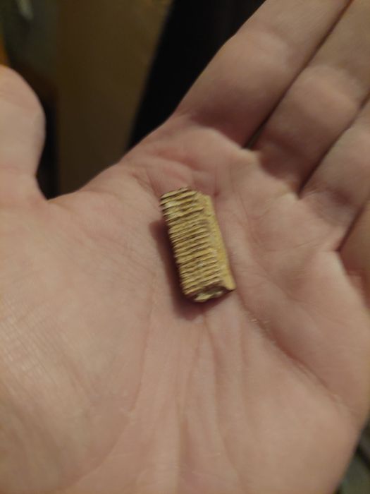 Fóssil dente de raia