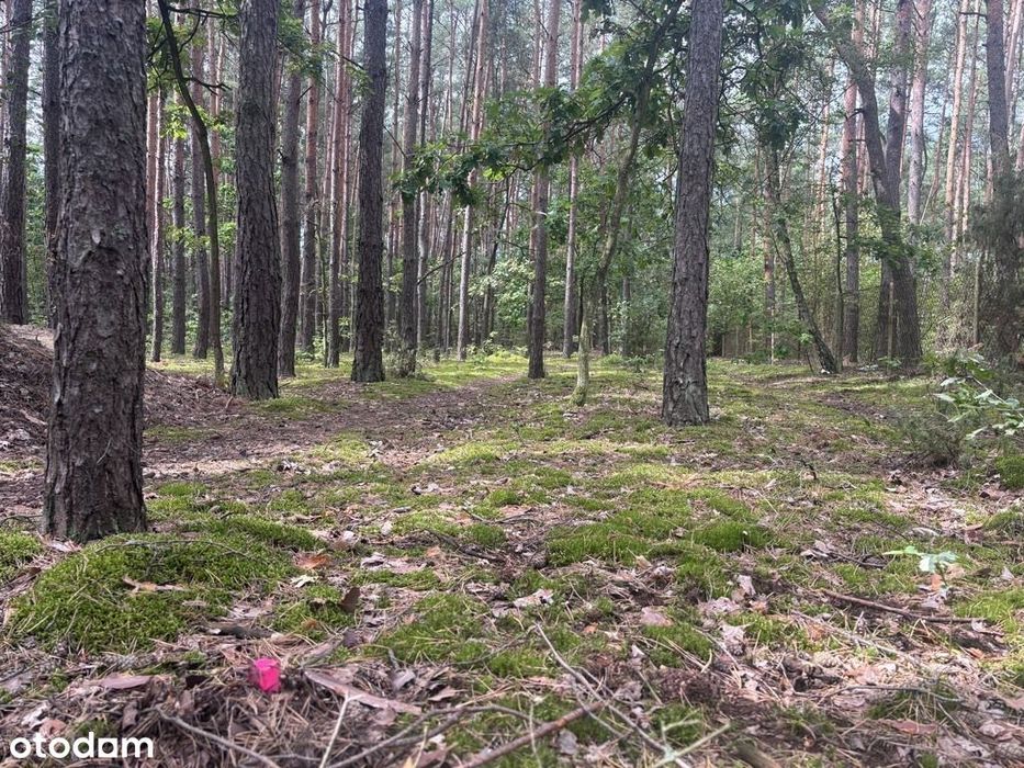 1500 m² pod Twój dom
