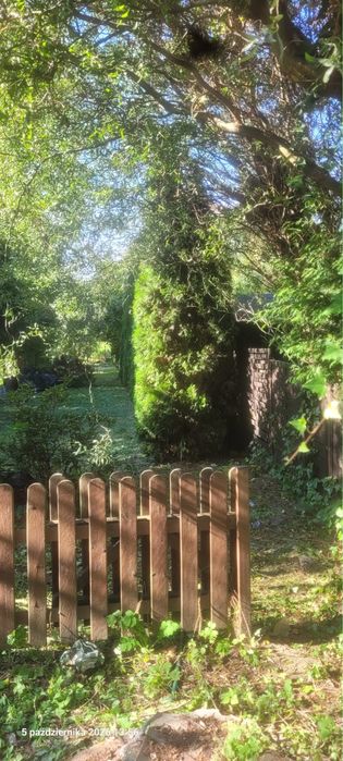 3pokojowe mieszkanie na parterze w kamienicy z ogrodem
